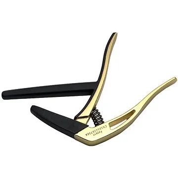 Stagg SCPX-FL GD (25019163)