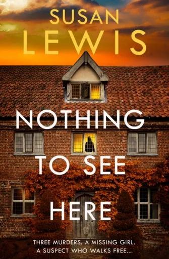 Nothing to See Here - Lewis Susan