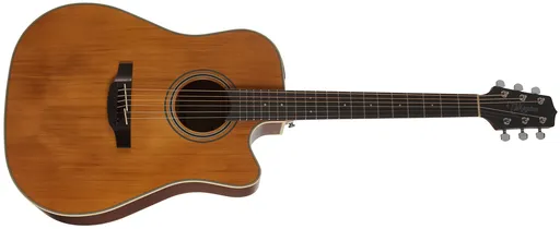 Takamine GD20CE-NS
