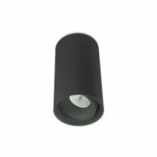 BPM Stropní svítidlo Butup 9051 černá polomatná 9051.10.BK-BK.D40.3K