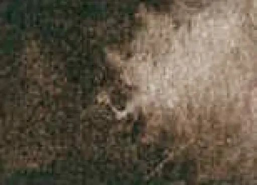 Akvarelová barva DS 15ml – 097 Raw Umber