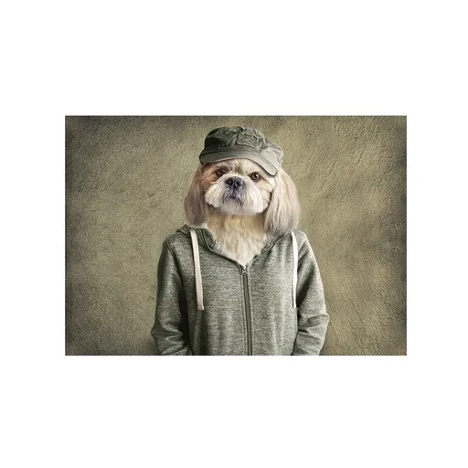 Zelená podlahová rohožka mr. Dog- 75*50*1cm RARMMRH