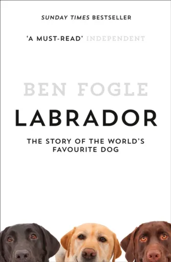 Labrador - Fogle Ben