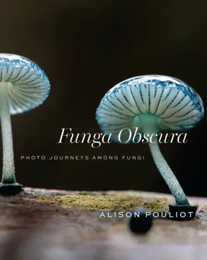 Funga Obscura - Alison Pouliot