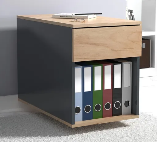 VCM Mobilní kontejner Dalosa 70 1-SB, dub medový