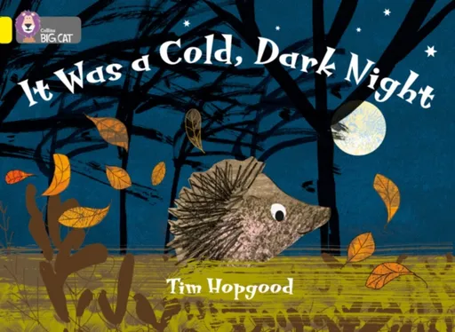 It Was a Cold Dark Night - Hopgood Tim