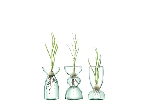 Sada váz Canopy, výška 13 cm, čirá - LSA International