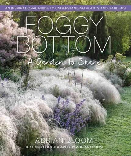 Foggy Bottom - ADRIAN BLOOM