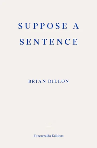 Suppose a Sentence - Brian Dillon