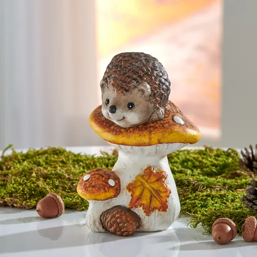 Dekorativní houby s ježkem