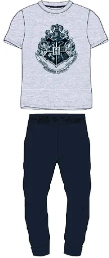 Eplus Pánské pyžamo Harry Potter - Bradavice šedé Velikost - dospělý: S