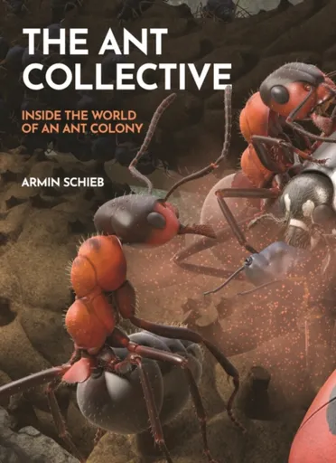 The Ant Collective - Armin Schieb