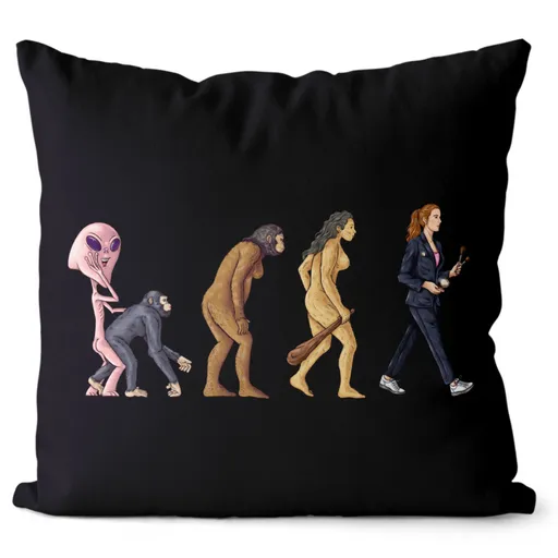 Polštář Evoluce kosmetičky (Velikost: 40 x 40 cm)