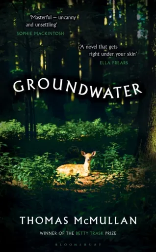 Groundwater - Thomas McMullan