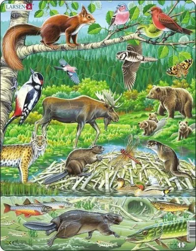 Puzzle MAXI - Zvířátka v lese/45 dílků