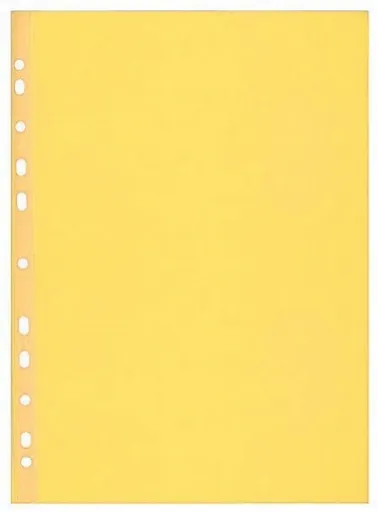 Herlitz - Prospektový obal A4/100 kusů