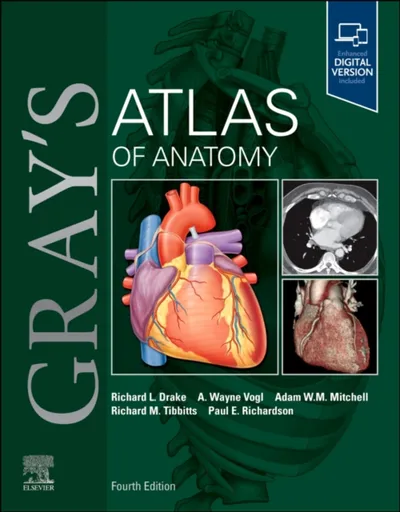 Gray's Atlas of Anatomy - Paul Richardson, A. Wayne  Vogl, Richard L.  Drake, Adam W. M.  Mitchell, Richard Tibbitts