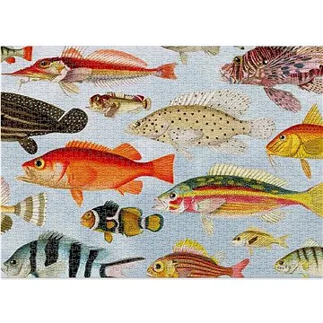 Puzzle Aquatic 1000 dílků (5060602330191)