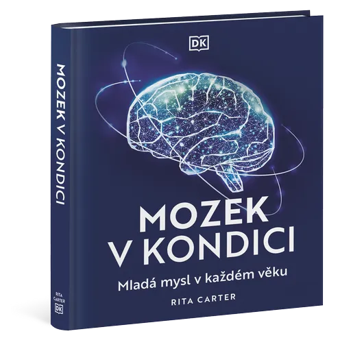 Mozek v kondici