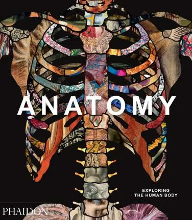 Anatomy - Phaidon Editors