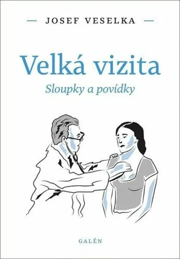 Velká vizita - Miloš Čermák, Josef Veselka