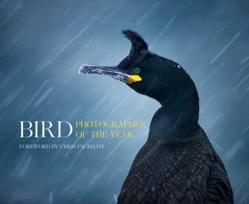Bird Photographer of the Year - Bird Photographer of the Year