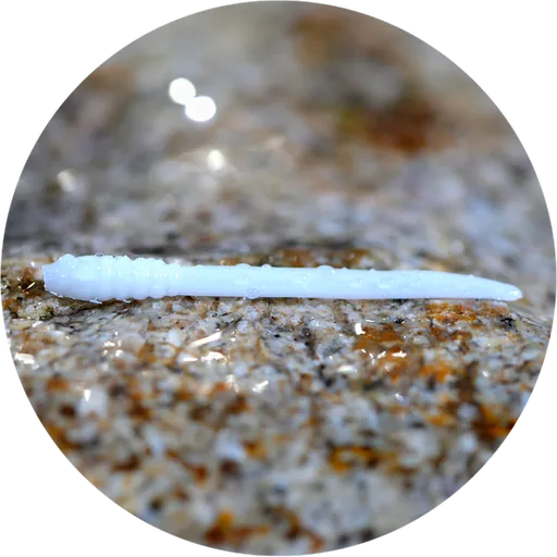 Redbass gumová nástraha micro tail white - xs 35 mm