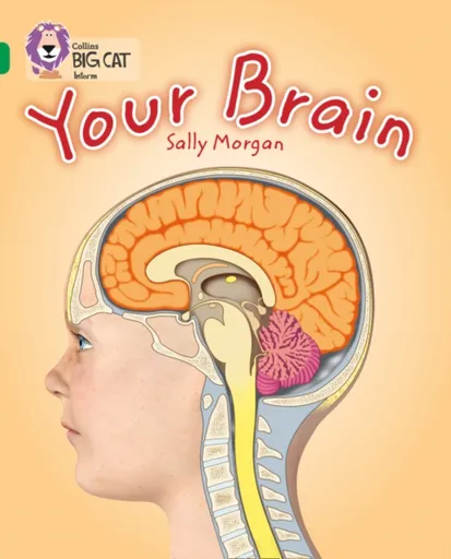 Your Brain - Sally Morganová