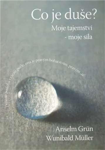 Co je duše ? - Anselm Grün, Wunibald Müller
