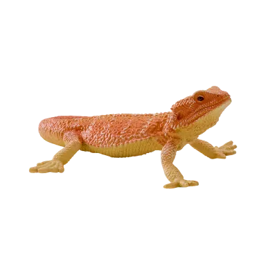 Agama vousatá figurka