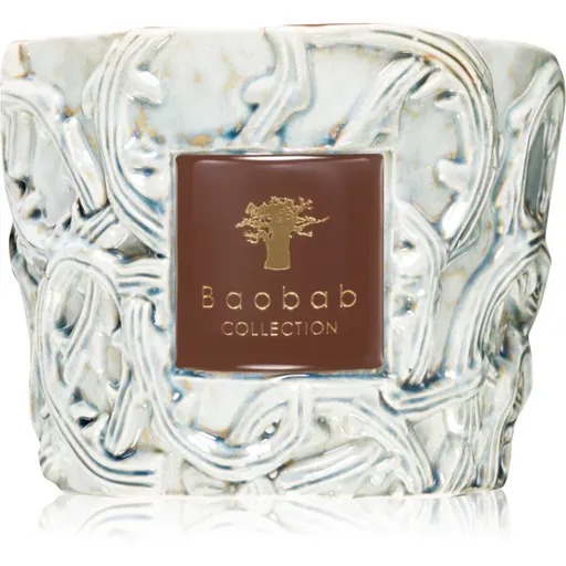 Baobab Collection Brame Sylvanus vonná svíčka 500 g