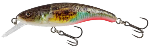 Salmo wobler slick stick floating supernatural gobie 6 cm