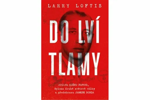 Do lví tlamy - Larry Loftis