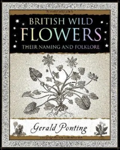 British Wild Flowers - Gerald Ponting
