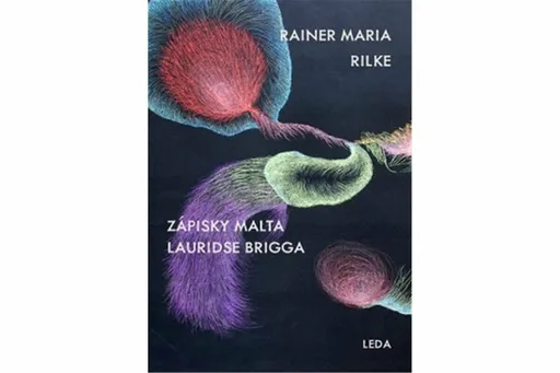 Zápisky Malta Lauridse Brigga - Reiner Maria Rilke, Erika Bornová