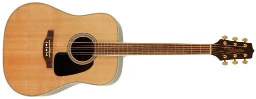 Takamine GD51-NAT