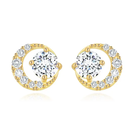 Náušnice ve žlutém 14K zlatě - kulatý čirý zirkon ve třpytivé kontuře kruhu