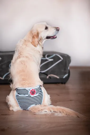 Vsepropejska Marine hárací kalhotky pro psa Barva: Černá, Obvod slabin (cm): 30 - 40