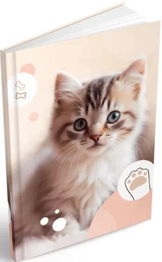 Záznamová kniha A5 MFP 100l/linka ZL5104