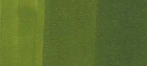 Copic sketch marker - G29 pine tree green