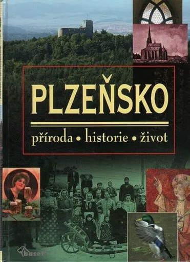 Plzeňsko