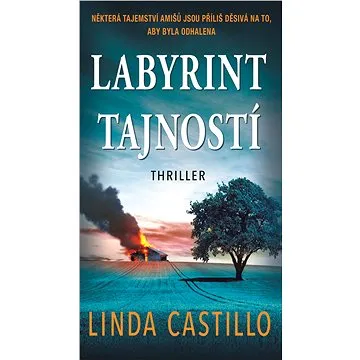 Labyrint tajností (978-80-243-9746-7)