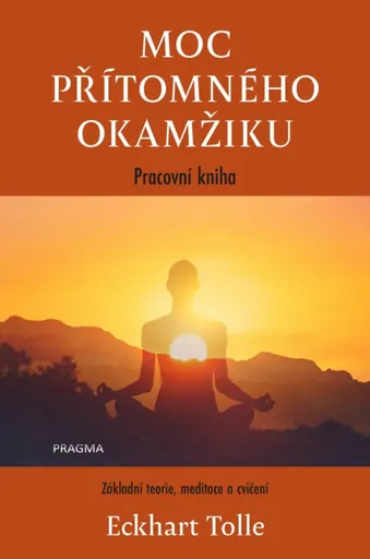 Moc přítomného okamžiku – pracovní kniha - Eckhart Tolle