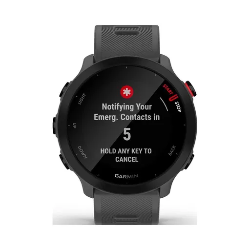 Garmin Forerunner 55 chytré hodinky s GPS Monterra Grey