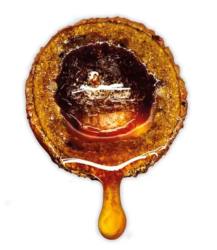 LK Baits Nutrigo Extra Plankton,LK Baits Nutrigo Extra Plankton