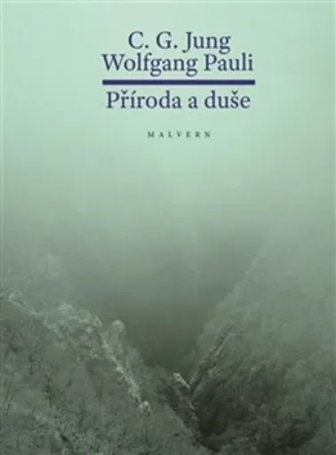 Příroda a duše - Carl Gustav Jung, Wolfgang Ernst  Pauli