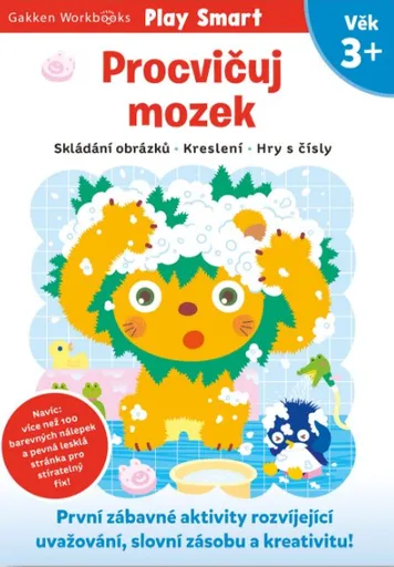 Procvičuj mozek 3+