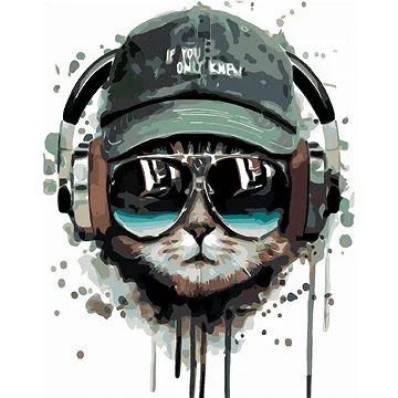 Malování podle čísel - Kocour se sluchátky (HRAmal01048nad)