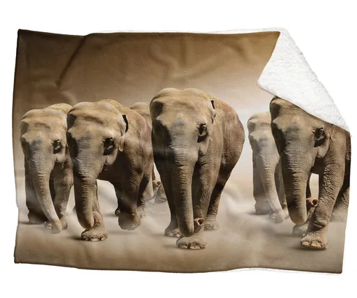 IMPAR Fleecová deka Sloni v poušti 150x120 cm (Rozměr : 200 x 140 cm, Podšití beránkem: ANO)