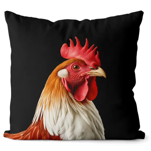 Polštář Slepička (Velikost: 40 x 40 cm)